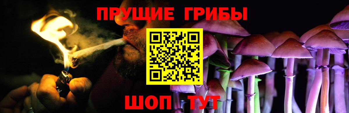 Псилоцибиновые грибы Cubensis Алушта